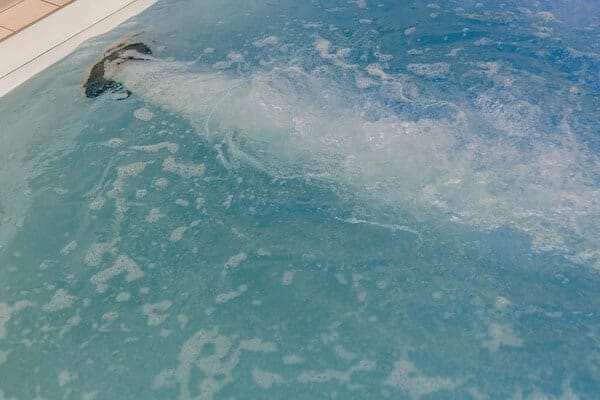 LES PLAISIRS DE L'EAU 5 imgi 25 Zone hydromassage pole detente 1