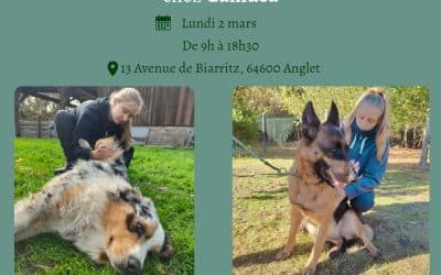 Clémence Richel – Ostéopathe Animalier