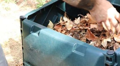 Dépose de déchets végétaux !