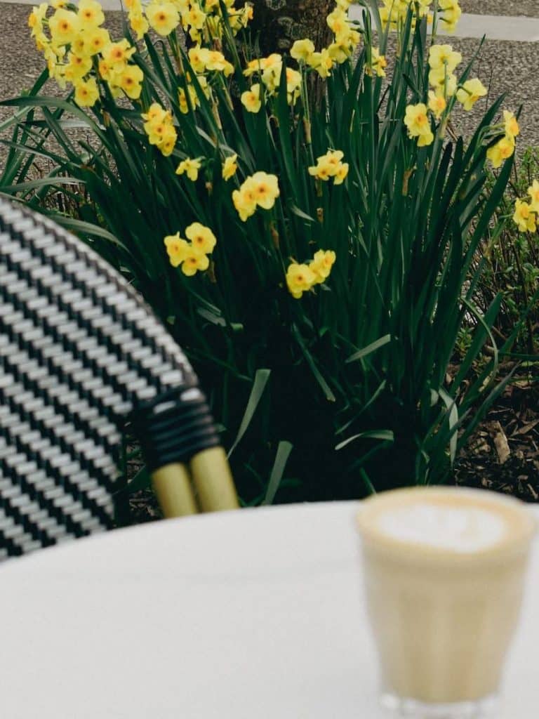 FB IMG 1772605620680