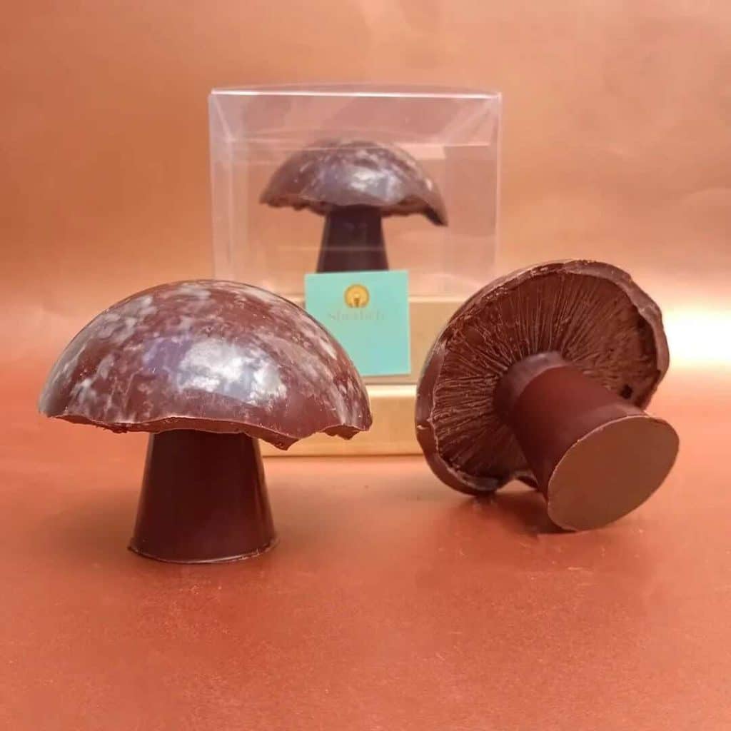 FB IMG 1773082667227