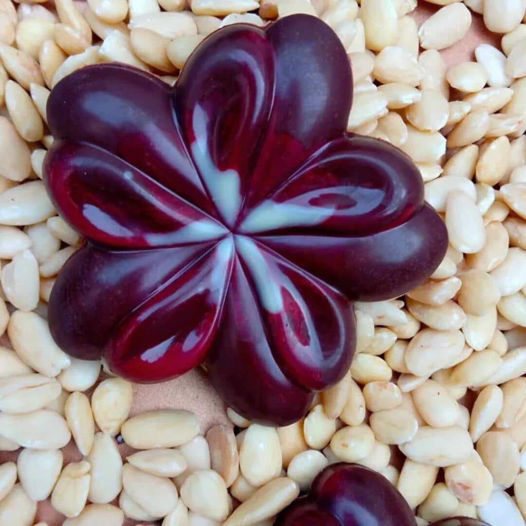 FB IMG 1773082673354