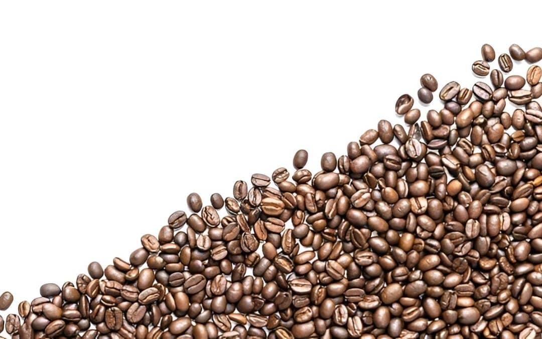 Cafés Steady Cauderan 