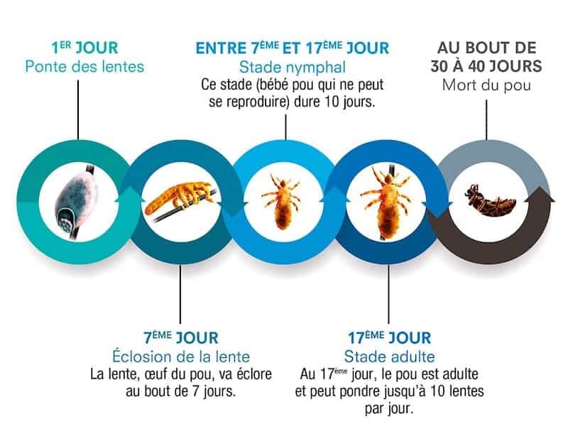 La Cage à Poux avec Chrystèle