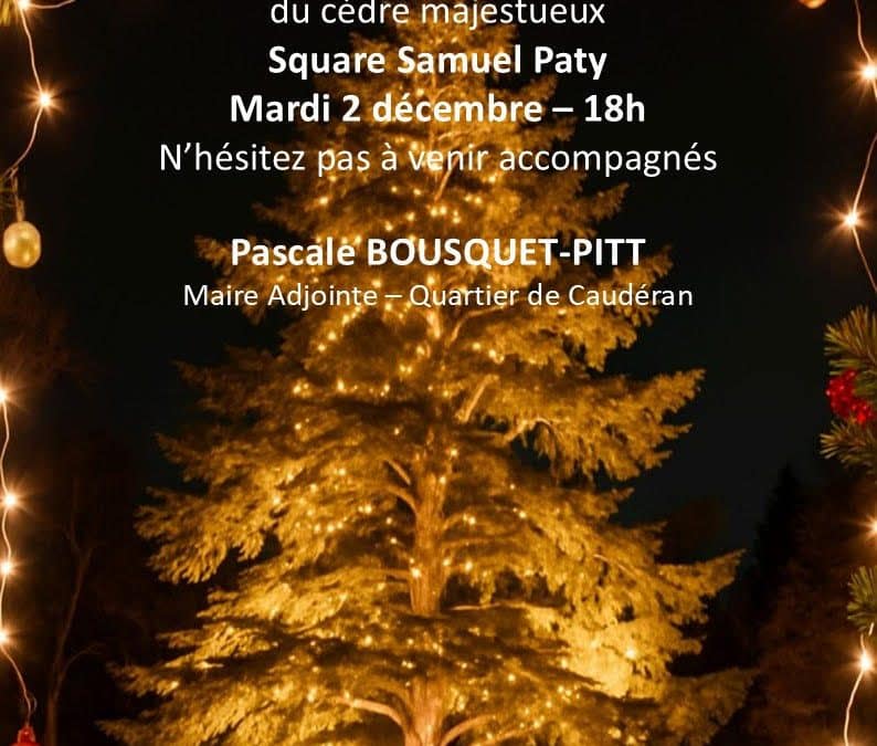 Illumination du cèdre — Square Samuel Paty, mardi 2 décembre 2026